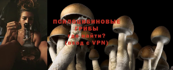 прущая мука Анива