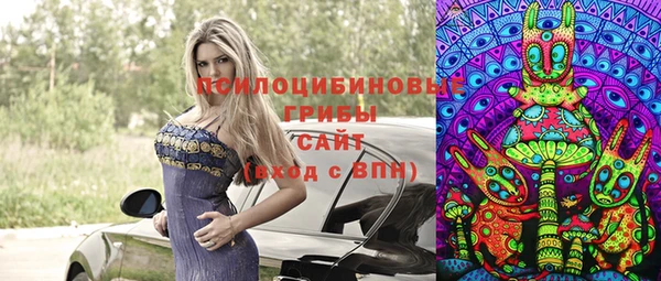 spice Волоколамск