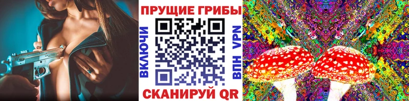 Псилоцибиновые грибы Cubensis  Еманжелинск 